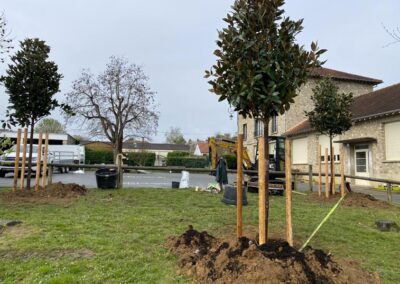 Plantation arbre evreux eure Normandie