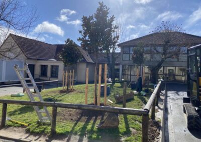 Plantation arbre evreux eure Normandie