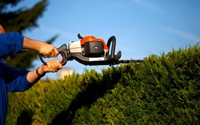 Suivi et entretien de jardin toute l’année